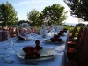 wine_1
